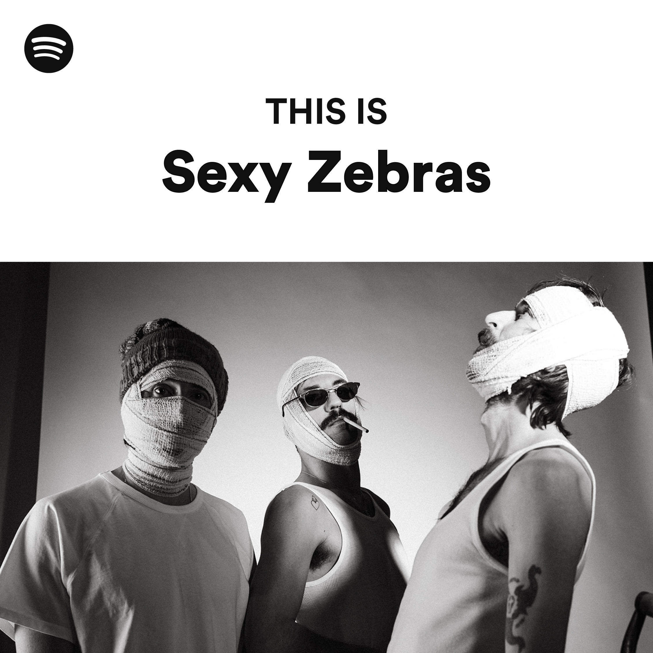 https://www.sexyzebras.com/wp-content/uploads/2024/06/this_is_sz_spotify.png